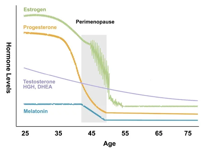 Chart showing how estrogen, progesterone, and testosterone decline with age, with the perimenopause window highlighted